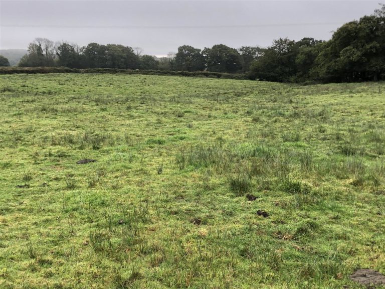 a redundant milking parlour set in a quiet rural location