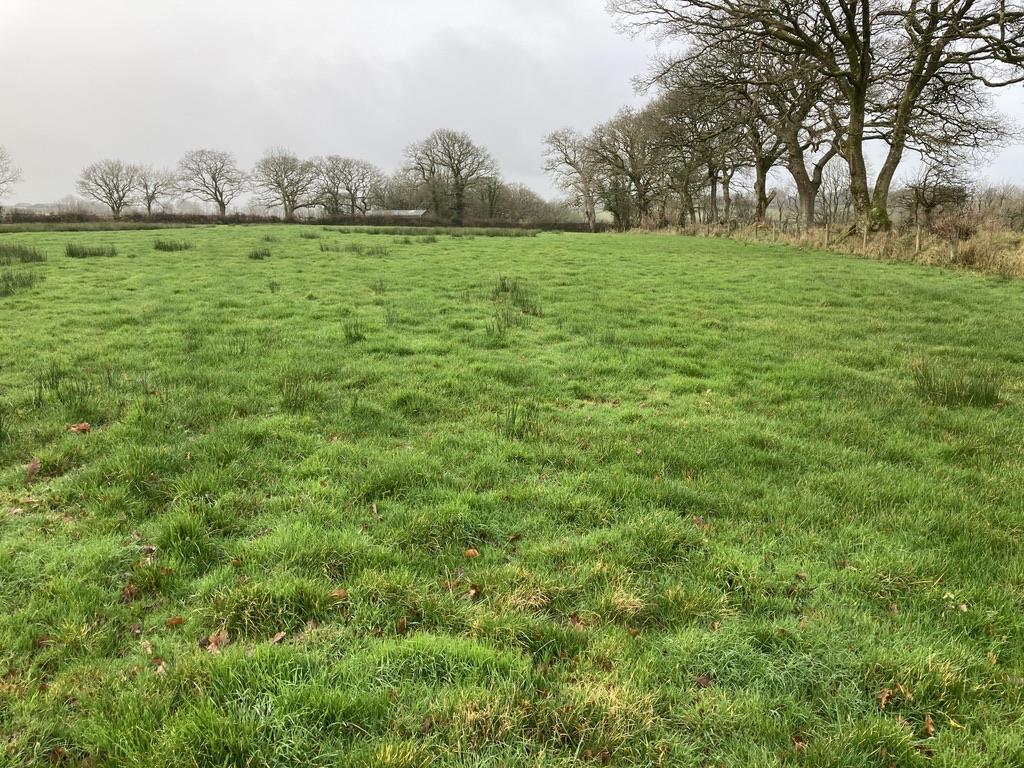 An Attractive Run Of 4 Permanent Pasture Fields Extending To 1154