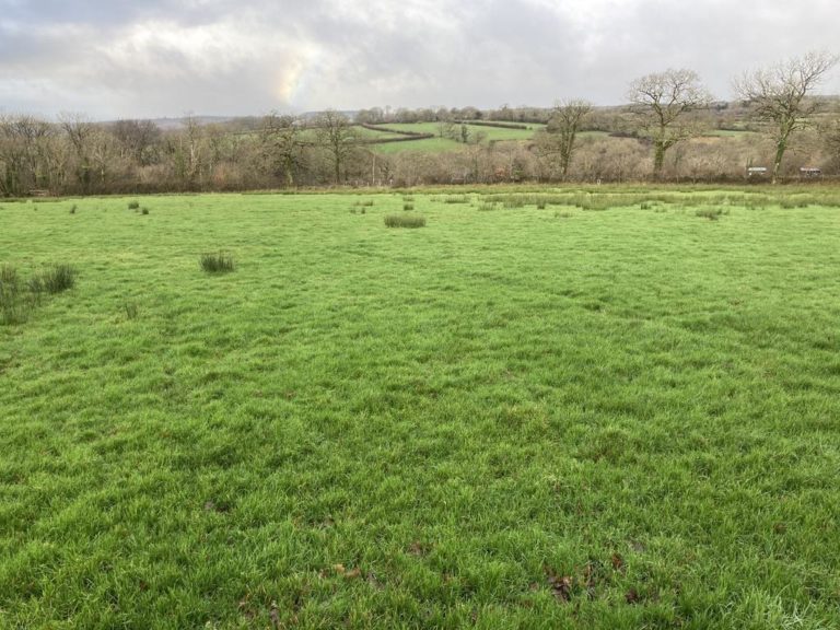 AN ATTRACTIVE RUN OF 4 PERMANENT PASTURE FIELDS EXTENDING TO 11.54 ...